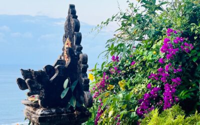 Beyond AI: The Inner Algorithm You Were Born With