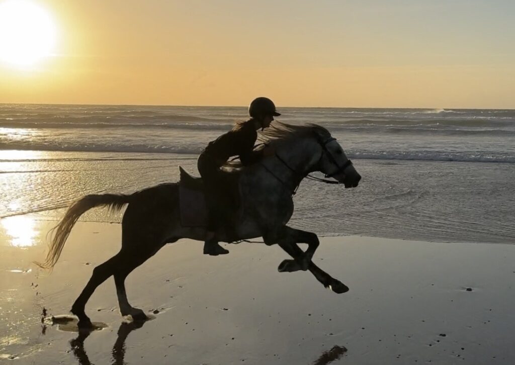 Embracing the Year of the Horse: Lessons in Resilience, Intuition, and Grace